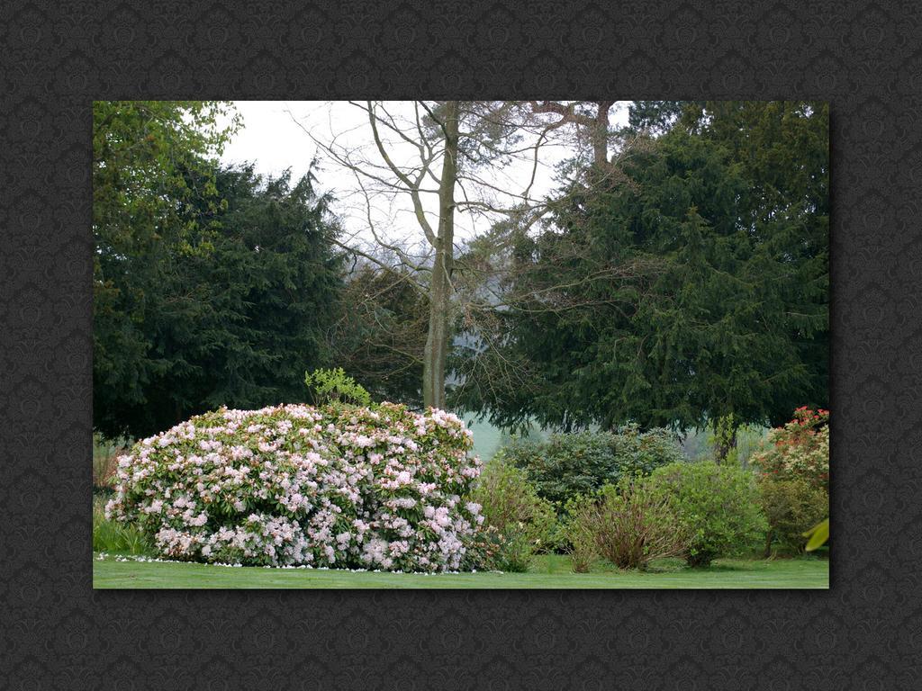 Bed and Breakfast Langrish House Petersfield Zewnętrze zdjęcie