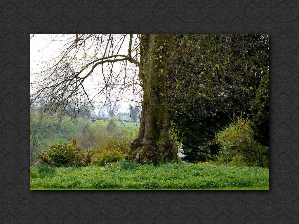 Bed and Breakfast Langrish House Petersfield Zewnętrze zdjęcie