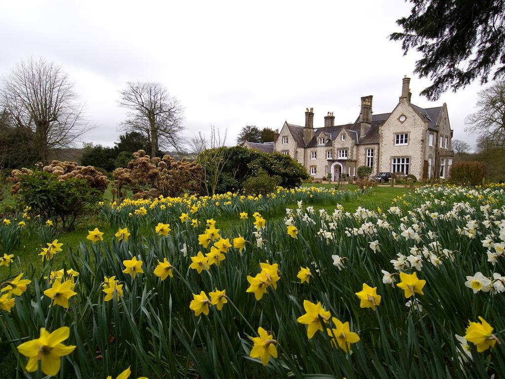 Bed and Breakfast Langrish House Petersfield Zewnętrze zdjęcie